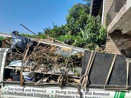 Best Dumpster Rental Services  in Sac City, IA